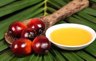 L'olio di palma fa male si o no? Ecco pro e contro secondo gli esperti