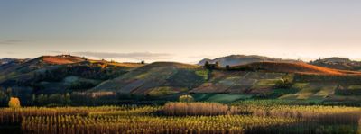 Langhe e Roero, terre d'eccellenza