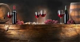 Nasce Vinitaly per il vino biologico certificato