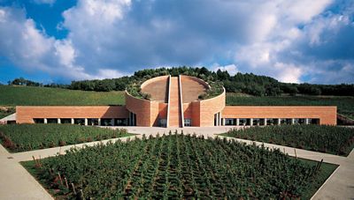 New Art & Wine in Tuscany: il volto contemporaneo della Toscana