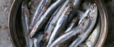 Pennoni napoletani piccanti alle alici di menaicaalt