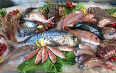 4 pesci azzurri e come cucinarli