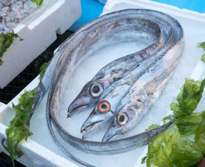 Come cucinare la spatola, idee e ricette (siciliane) da provare subito