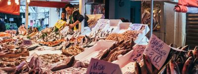 Il pesce in cucina, le varietà più comuni e le ricette facili per cucinarlo 
