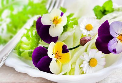 Petali da mangiare: la primavera in tavola