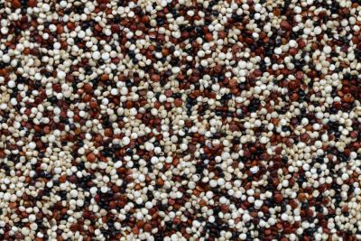 Quinoa, senza glutine e proteica