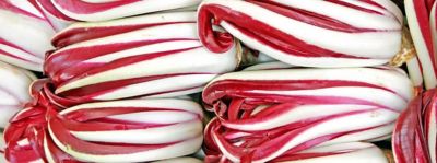 Radicchio rosso di Treviso tardivo Igp