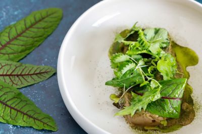Melanzane a cubetti, salsa delle sue bucce e aglio neroalt
