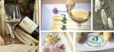 Sani, buoni e giusti: torna la stagione degli asparagi di Terlano