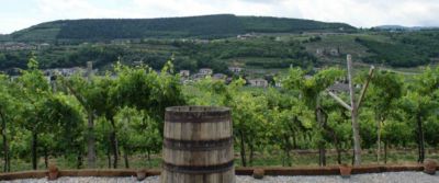 Anteprima Amarone. l'annata 2012 in assaggio a Verona