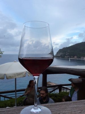 Non solo spiaggia: in Liguria si va (anche) per il vino