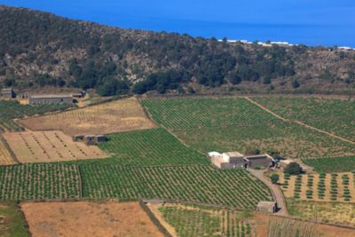 Trapani: tra Marsala e i vini di Pantelleria