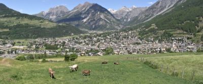 Valtellina tra vino e sapori