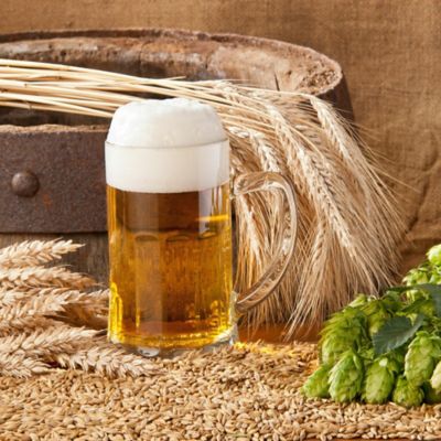 Luppoli e birra. In Italia, finalmente, sono oltre cento tipi