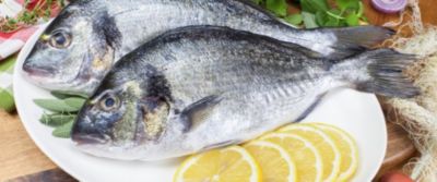 Orata e sogliola. Versatili e facili da cucinare