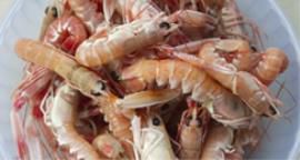 Scampi alla veneta in saoralt
