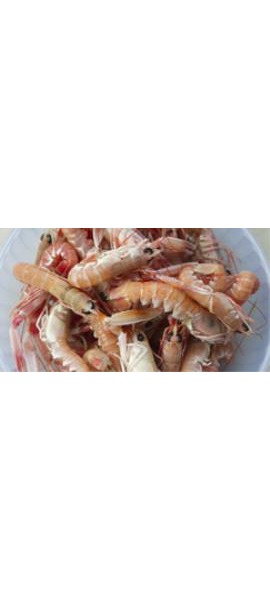 Scampi alla veneta in saor