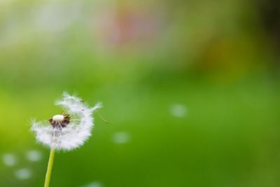 Sintomi dell'Allergia stagionale: ecco la dieta per stare meglio