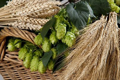 Statistiche e? miracoli della birra artigianale italiana
