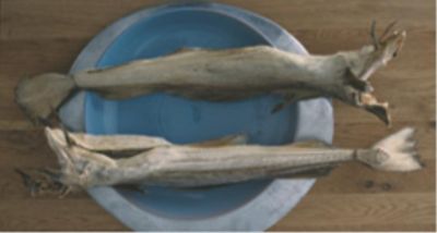 Stoccafisso accomodato con carciofi di albenga croccantialt