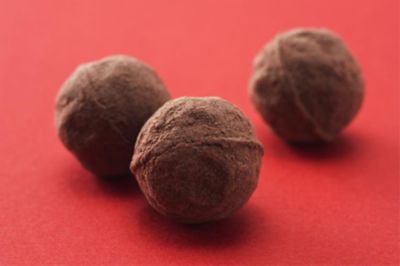 Tartufo di cioccolati fondenti e ginger canditoalt