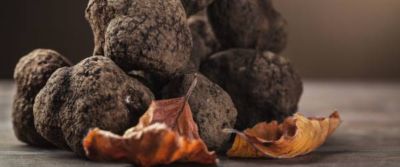 Tartufo bianco e nero, come usarlo in cucina