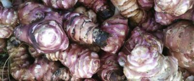 Topinambur: tutti i modi per cucinarlo ed esaltarne le proprietà