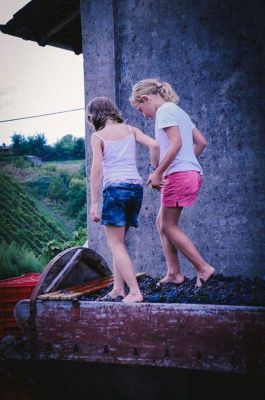 Tra degustazioni e picnic in vigna: torna Cantine Aperte in Vendemmia