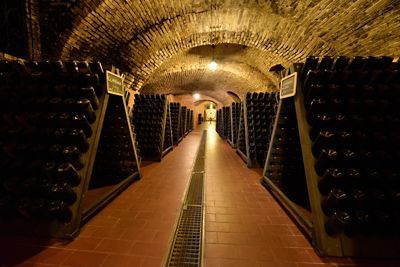 Tra due anni il Riesling sarà anche Riserva. Lo promette Travaglino