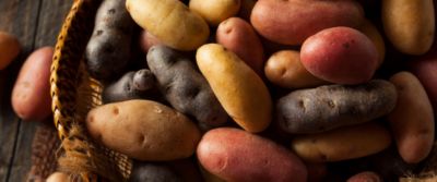 Tutto quello che volevate sapere sulle patate