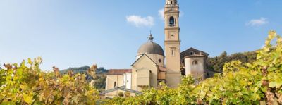 Tour tra la Val d'Illasi e la Valpolicella