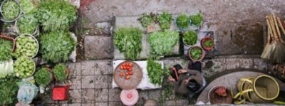 Le verdure di maggio, la spesa e le ricette del mese