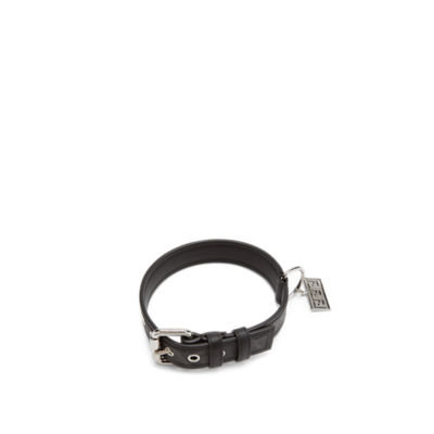 Fendi dog shop collar and leash