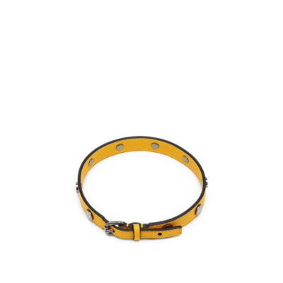 fendi dog collar