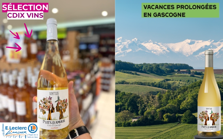 LE VIN DU MOIS CDIX VINS EST À RETROUVER EN MAGASIN