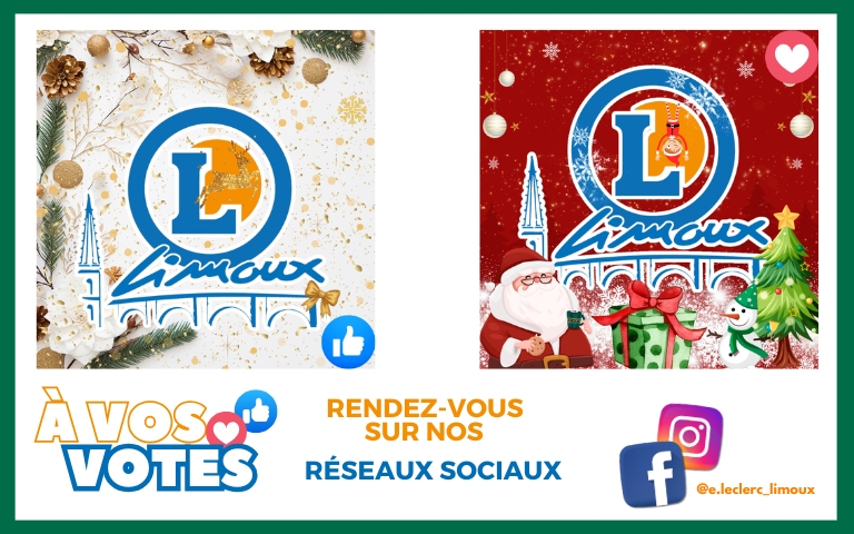 CHOISISSEZ NOTRE PROCHAIN LOGO DE PROFIL