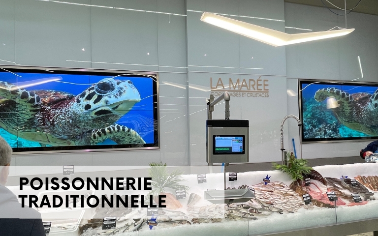 la marée de notre magasin visuel de poisson sur étale