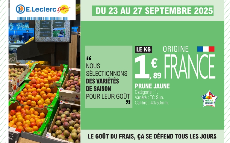 Du 23 au 27 septembre, profitez des prunes à prix E.Leclerc : 1.89 € le kg
