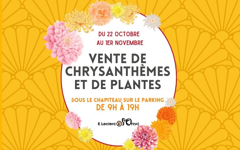 𝐉𝐮𝐬𝐪𝐮'𝐚𝐮 𝟏𝐞𝐫 𝐧𝐨𝐯𝐞𝐦𝐛𝐫𝐞, retrouvez notre grand choix de fleurs et plantes 𝒔𝒐𝒖𝒔 𝒍𝒆 𝒄𝒉𝒂𝒑𝒊𝒕𝒆𝒂𝒖 𝒊𝒏𝒔𝒕𝒂𝒍𝒍𝒆́ 𝒔𝒖𝒓 𝒍𝒆 𝒑𝒂𝒓𝒌𝒊𝒏𝒈