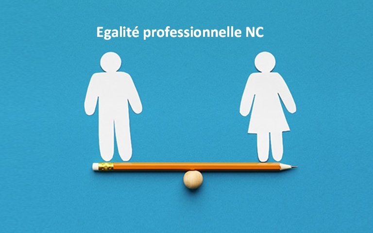 Egalité professionnelle 2024 non calculé par rapport aux informations.