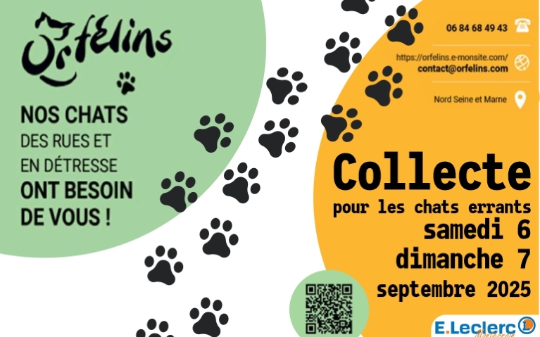 Affiche annonçant une collecte pour chats errants les 6 et 7 septembre 2025 au magasin E.Leclerc Montévrain avec l’association Orfélins