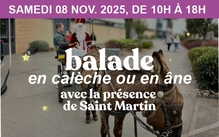 Samedi 08 novembre 2025, de 10h à 18h, venez fêter la Saint Martin dans votre centre E.Leclerc Bergues-Quaëdypre : balade en calèche ou en âne, avec la présence de Saint Martin ! 