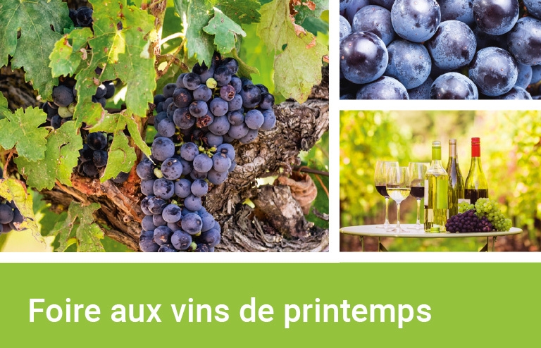 Prix Gasoil Leclerc Le Poire Sur Vie