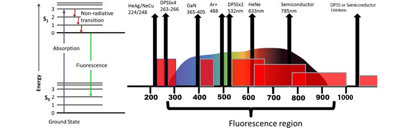 Energy diagram for fluorescence and lasers of different wavelength used across the fluorescence spectral range.