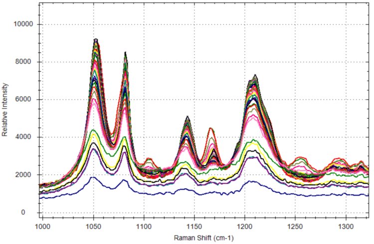 Expanded view of Raman spectra collected during citric acid phase transition