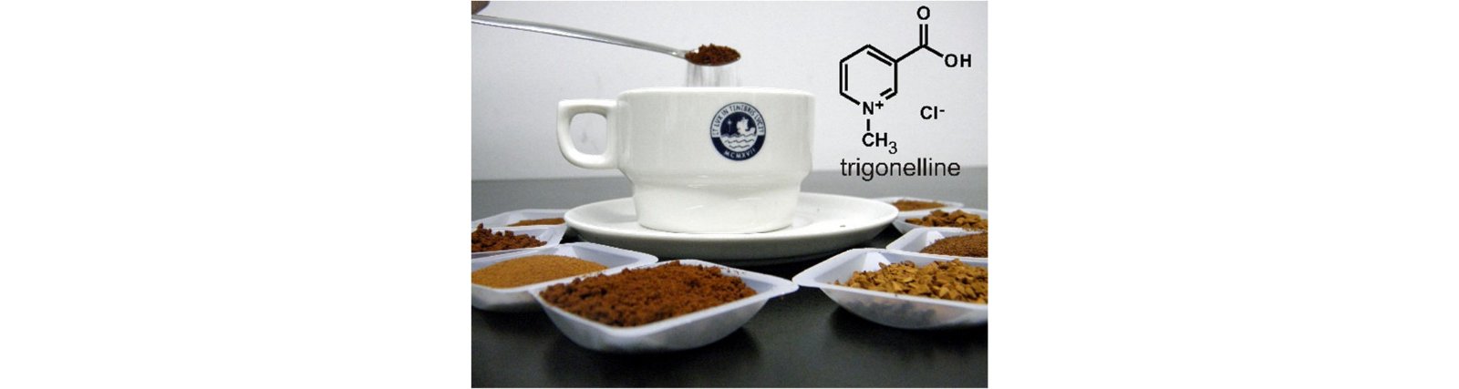 Different coffee powders and the molecular structure of trigonelline