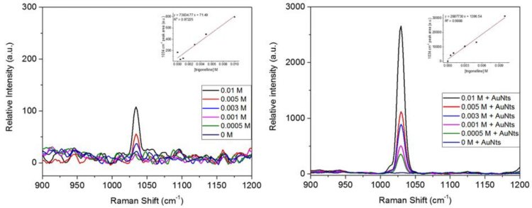 Raman spectra of trigonelline solutions without gold nanotriangles (left) and with gold nanotriangles (right). Inserts show the calibration curves of trigonelline solutions using the 1034 cm-1 peak area within a 1010-1045 cm-1 spectral window.