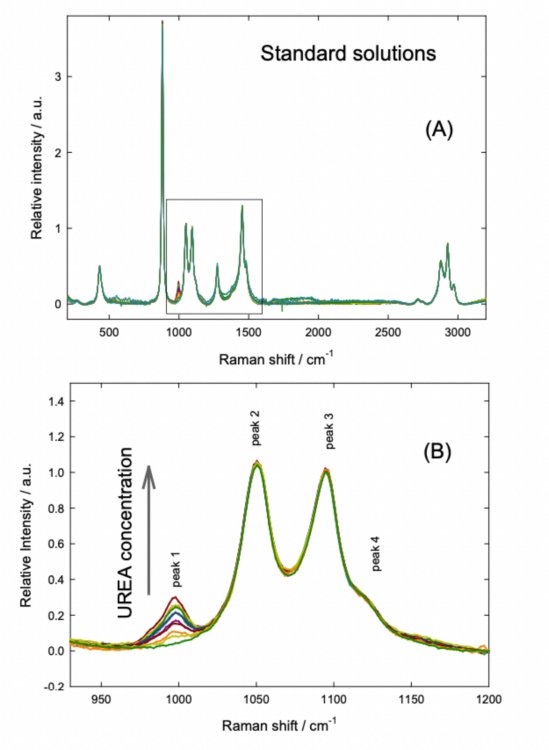 Normalized spectra of the standard solutions of urea + SA in ethanol. (A) Complete spectra (B) Analyzed region.