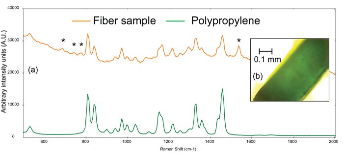 (a) Raman spectra of a teal fiber (orange) compared to a reference spectrum of polypropylene (green) and (b) photomicrograph of teal fiber. The asterisks denote peaks that can be attributed to the colorant used in the plastic.