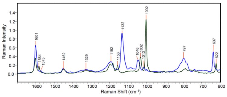 Los espectros FT-Raman de los dos componentes poliméricos puros: material de partida poliestireno (traza verde) y el polímero completamente funcionalizado (traza azul) medidos a una resolución de 4 cm-1 con una excitación de 1064 nm